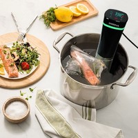 High Quality Slow Cooker Wholesale Sous Vide Immersion Circulator With PTC Heating Element