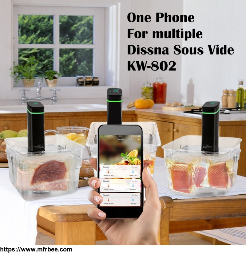 precise_cooker_sous_vide_machine_digital_slow_cooker_with_digital_display_circulator_immersion