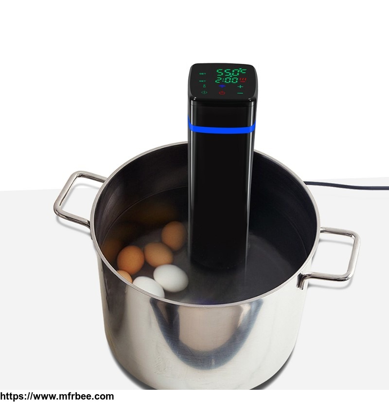 high_quality_beef_immersion_circulator_cooker_slow_sous_vide