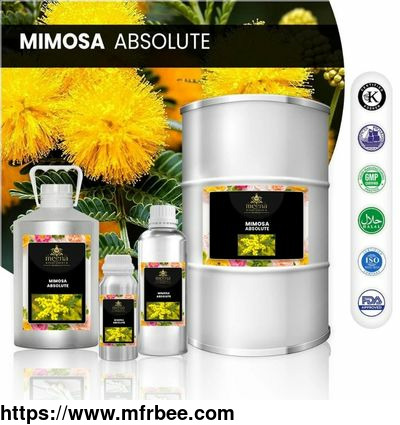 mimosa_absolute_meenaperfumery_shop
