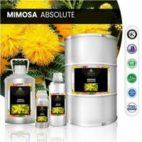 Mimosa Absolute | Meenaperfumery.shop