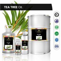 Tea Tree Oil | Meenaperfumery.shop