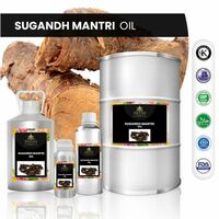 more images of Sugandh Mantri Oil | Meenaperfumery.shop