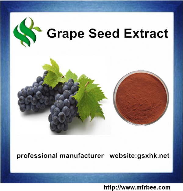 high_quality_grape_seed_extract