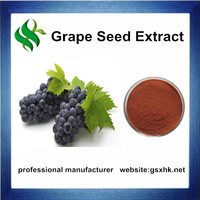 more images of High Quality Grape Seed Extract