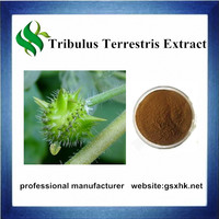 more images of High Quality Tribulus Terrestris Extract