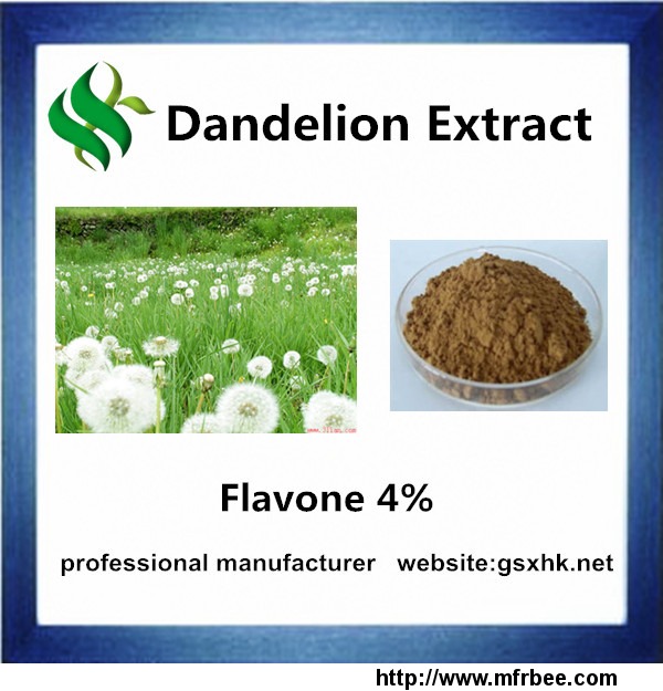 high_quality_dandelion_extract