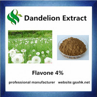High Quality Dandelion Extract