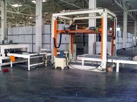more images of Palletizer