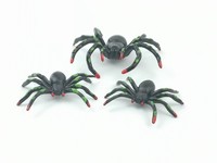 more images of color spider