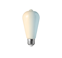 more images of ST19 SMART BULBS (2200-6500K)