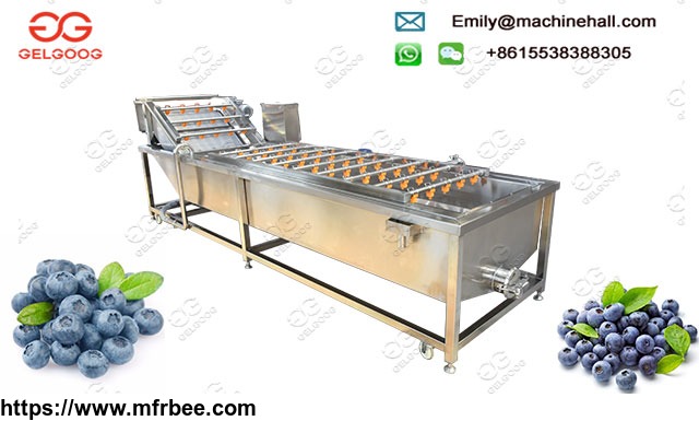 industrial_vegetable_and_fruit_washer