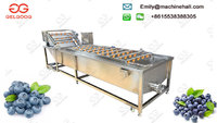 Industrial Vegetable and Fruit Washer