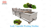 more images of Industrial Vegetable and Fruit Washer