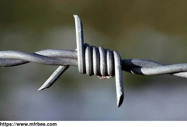 barbed_wire_fence