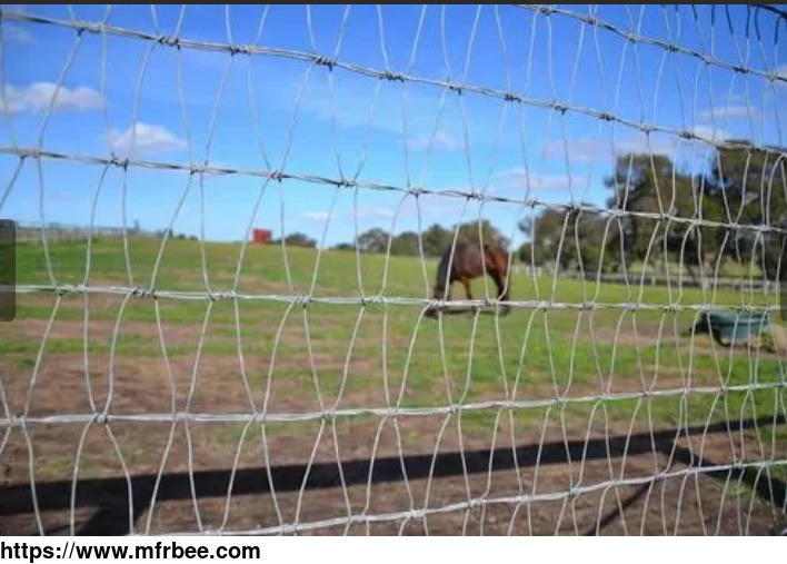 v_mesh_horse_fence