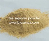 more images of tea saponin powder