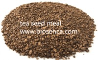 more images of tea seed meal