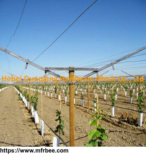 vineyard_use_open_gable_trellis_system_with_all_accessories