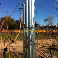 more images of Hot Sale 2.4m Steel Grape Stake