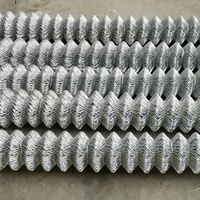 Galvanized and PVC Coated Rhombus Chain Link Fence