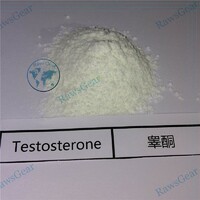 more images of Testosterone Base