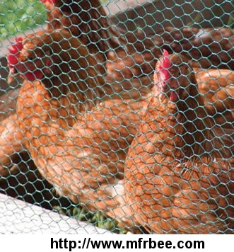pvc_coating_chicken_wire_uv_stabilized_and_durable