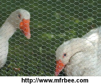 stainless_steel_chicken_wire_acid_and_alkali_resistance