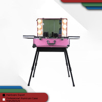 Adjustable Trolley Pink Makeup Studio Case With Light Custom