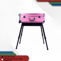 more images of Adjustable Trolley Pink Makeup Studio Case With Light Custom