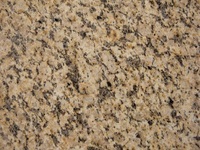 China gold ma hot selling good color polished cheap golden yellow granite tile