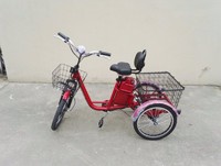 China cheap 350W 48V 3 wheel Electric scooter,Adult Electric Tricycle with Lead acid Battery,adult cargo trike