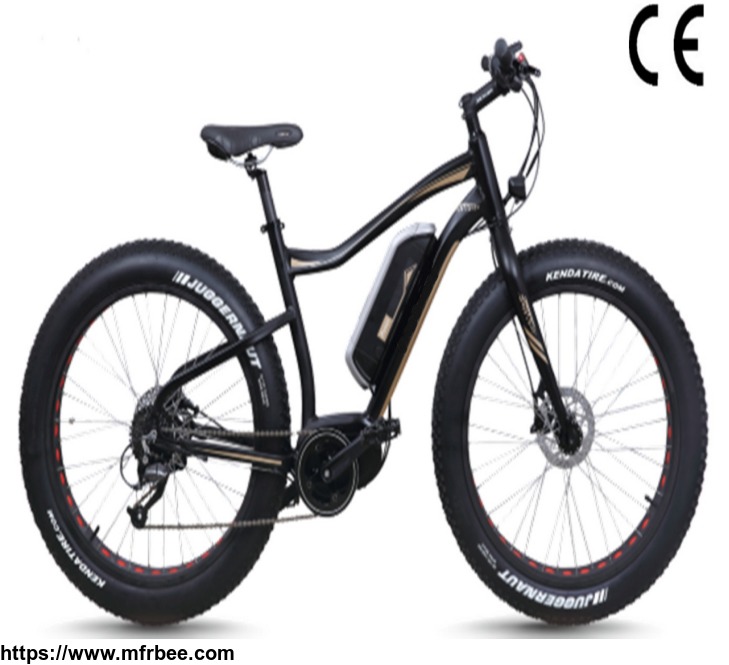 mountain_electric_bike_250w_bafang_mid_motor_electric_bike