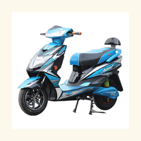 High Quality 1000W Electric Racing Motorcycle with Disk Brake