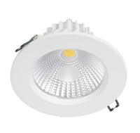more images of COB LED Downlight