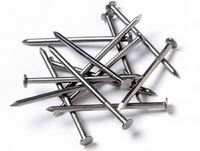 more images of Galvanized Common Nails