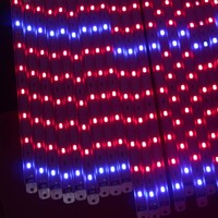 12v red and blue dual color lg 5630 chips kind led grow lights