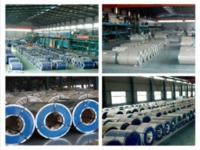 more images of steel coils for sale Prime Quality PPGI Coils