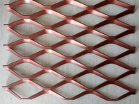 Aluminum Expanded Metal Facade Mesh with Various Colors and Hole Shapes
