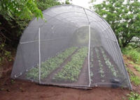 Plastic Insect Screen - Resist UV Rays and Insects