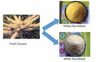 more images of Garri Processing Machinery