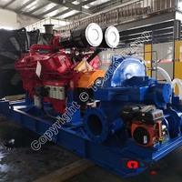 more images of Tobee® Large Capacity, Large Size Diesel Engine Driven Seawater Irrigation Pump