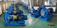 Tobee Andritz S series Centrifugal Pumps