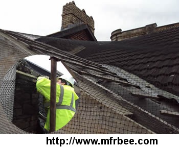 bat_netting_prevent_bats_from_your_houses_and_attics