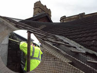 Bat Netting - Prevent Bats from Your Houses and Attics