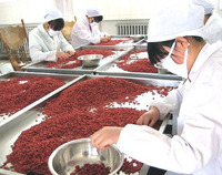 more images of Organic Goji Berry
