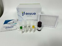 Universal Estradiol (E2) ELISA kit