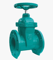 more images of Resilient Seated Gate Valve
