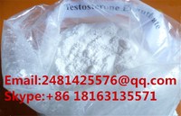Testosterone Enanthate Muscle Building Steroids CAS 315-37-7