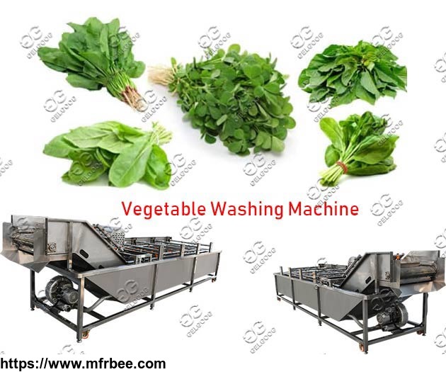 leaf_vegetables_washing_machine